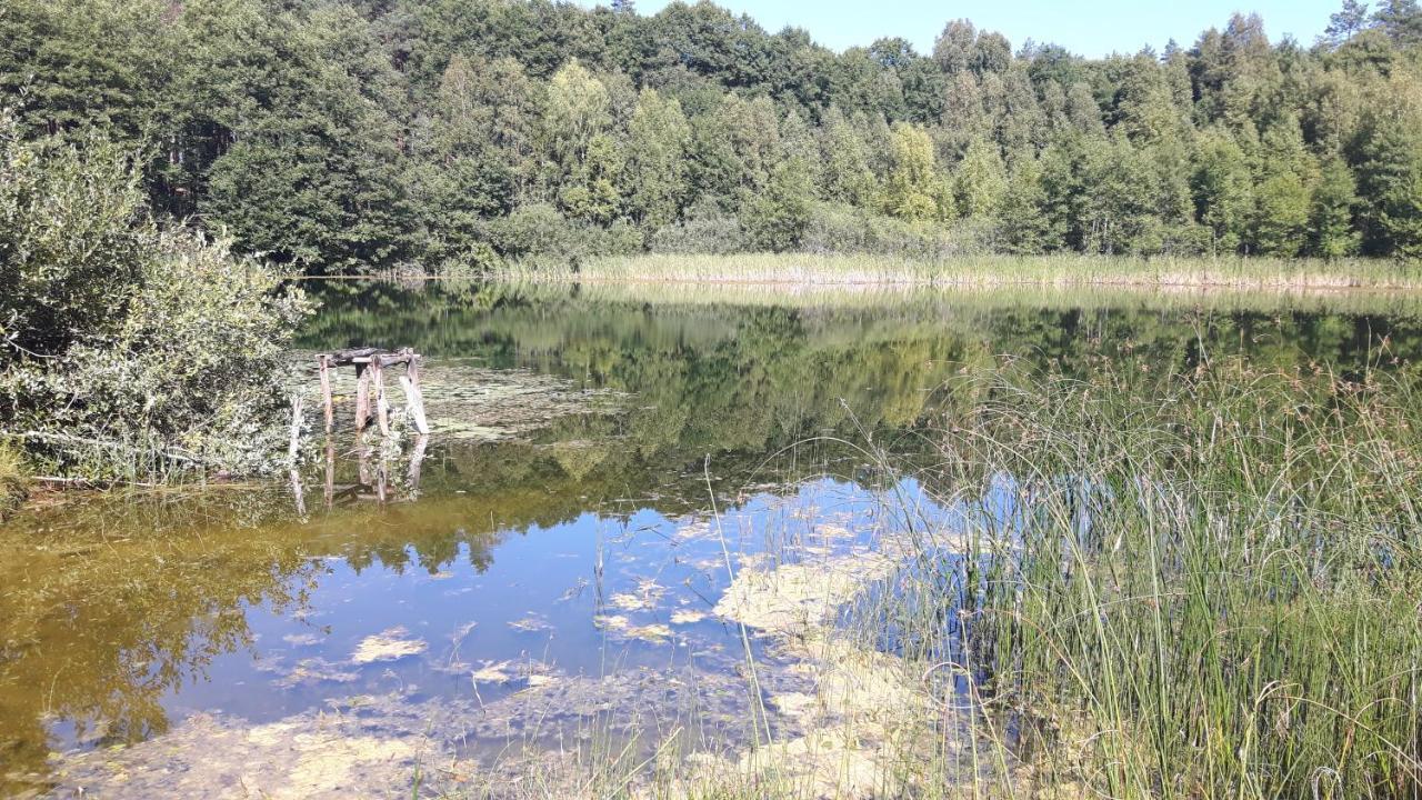 Appartamento Bakusiowy Zakatek Lipowo Kurkowskie Esterno foto