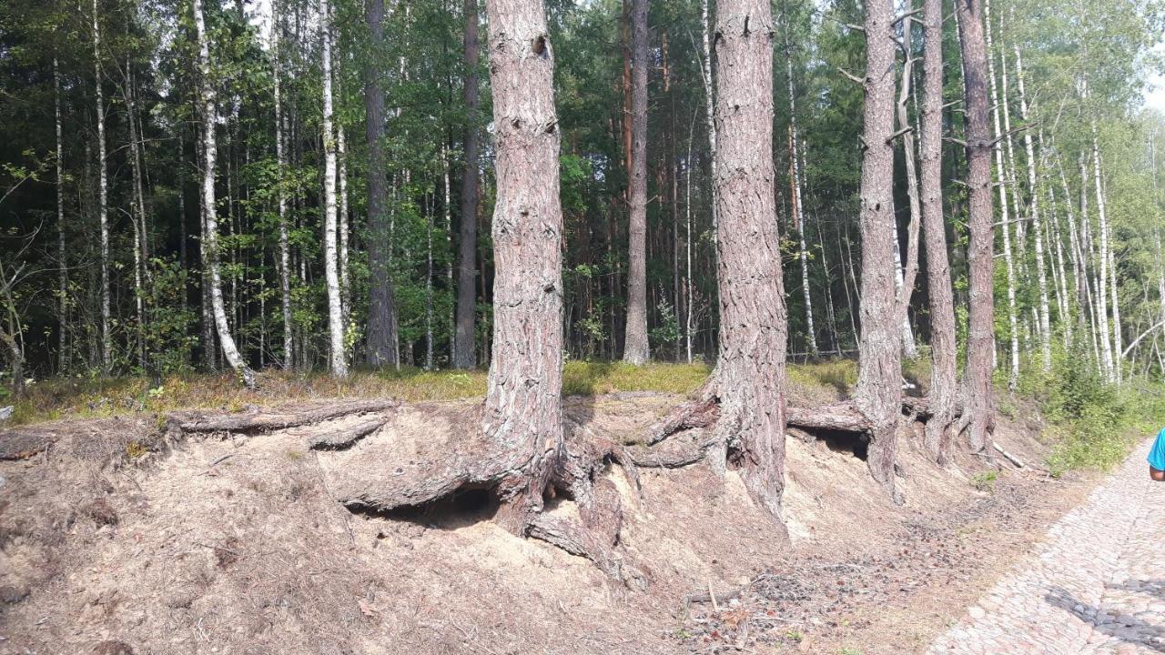 Appartamento Bakusiowy Zakatek Lipowo Kurkowskie Esterno foto